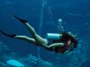 andaman-scuba-diving-1