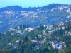 darjeeling-view.jpg