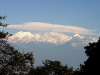 darjeeling1.jpg