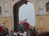 elephant-sawari-at-amer-fort