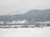 gulmarg_in_january_08_017.jpg