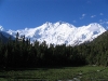 nanga_parbat_pakistan.jpg