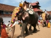 thrippunithura-elephant-end-of-pooram-2_crop.jpg