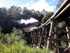 puffing-billy