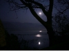 moon-night-at-jim-corbett-n.jpg