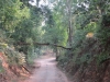 raod-internal-of-jim-corbett-national-park_0