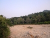 river-jim-corbett-national-park