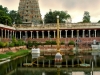 sri-meenakshi-sundareswarar-temple